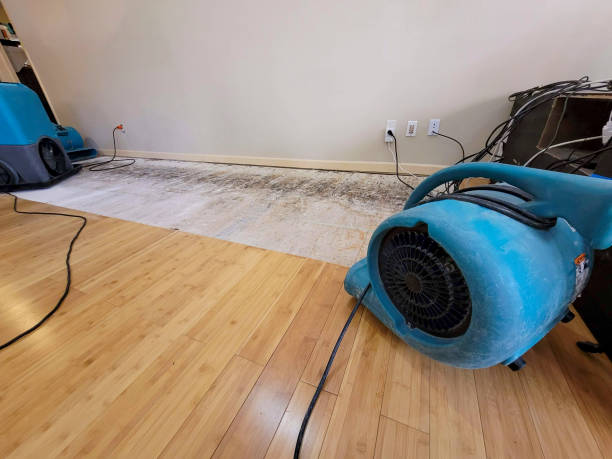 Reliable Basement Flood Cleanup contractor in Cleveland, MO by Hirex Water Damage