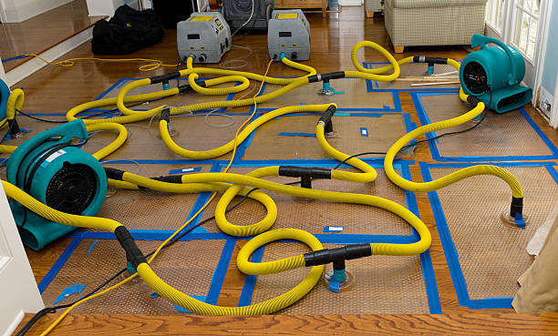 Professional Basement Flood Cleanup technician working in Cleveland, MO
